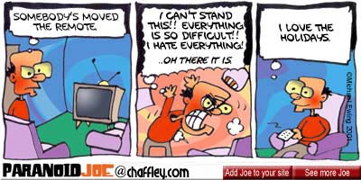 paranoid joe