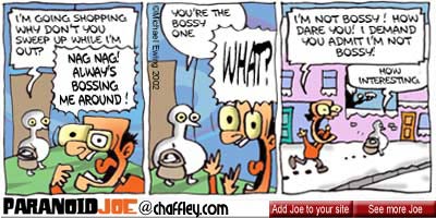paranoid joe