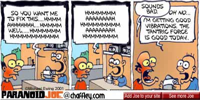paranoid joe